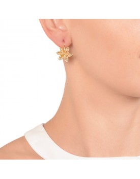 Brinco Dourado Flor De Folha Com Citrino