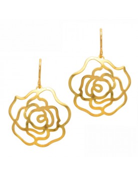 Brinco Dourado Liza