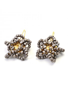 Brinco Dourado Flor Estrela Grande Prata Velha