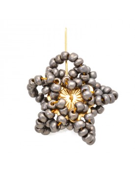 Brinco Dourado Flor Estrela Grande Prata Velha