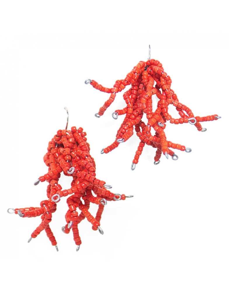 Brinco Prateado Coral
