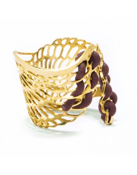 Anel Dourado  Asa