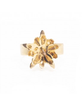 Anel Dourado Flor De Linz