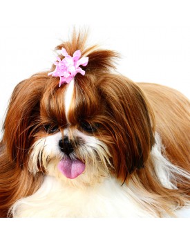 Elástico Para Pets Rosa Com Bolinhas