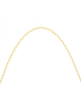 Colar Dourado Paetês