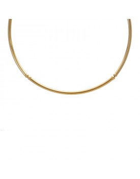 Colar Dourado Cano