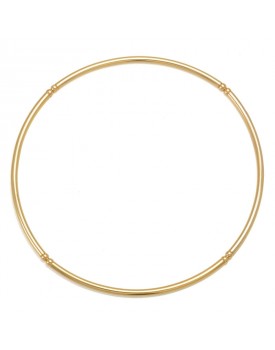 Colar Dourado Cano